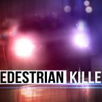 PEDESTRIAN KILLED IN HAWKINS COUNTY ACCIDENT